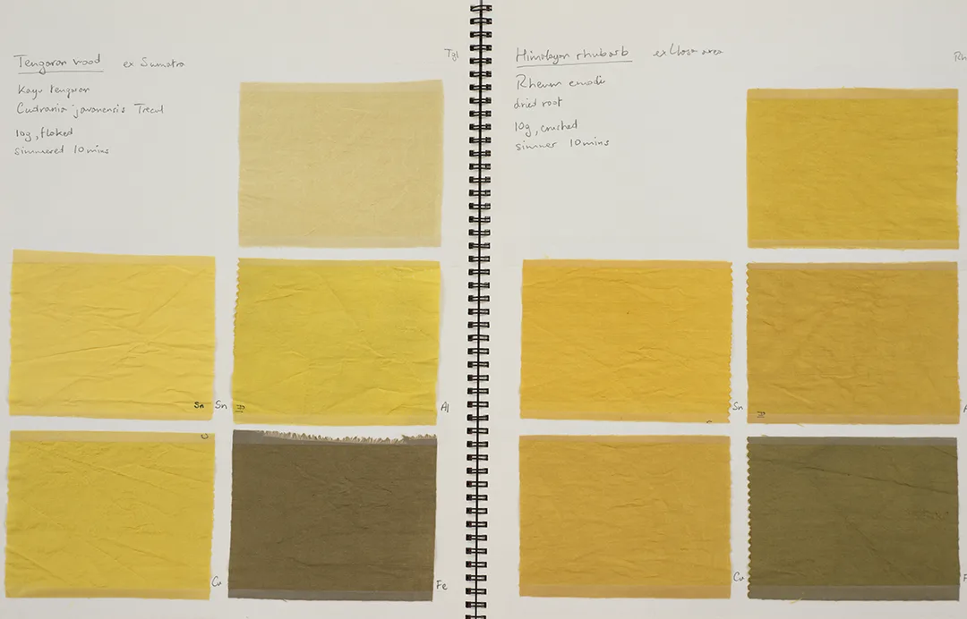 yellow swatches from dye experiments