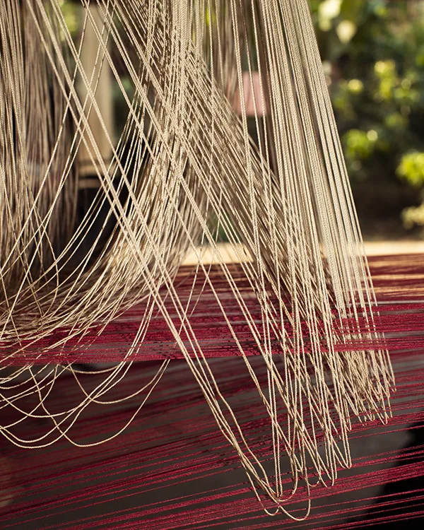 detail of a drawloom pattern system